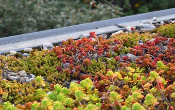 the cost of Stonea green roof installation